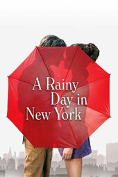 /movies/717456/a-rainy-day-in-new-york