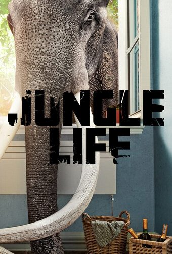Welcome to the Jungle