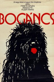 Bogáncs