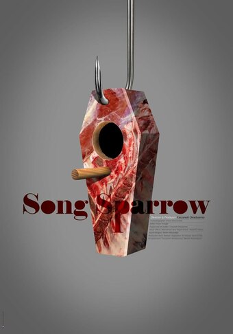 Song Sparrow