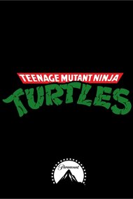 Teenage Mutant Ninja Turtles: The Next Chapter