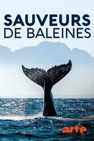 Island Heroes: The Whale Rescuers of Campobello Island