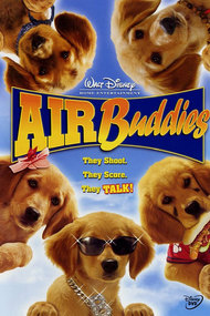 Air Buddies
