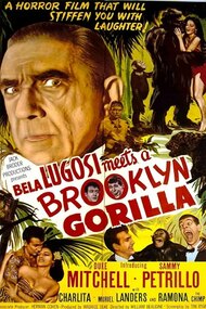 Bela Lugosi Meets a Brooklyn Gorilla