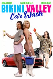 Bikini Valley Car Wash
