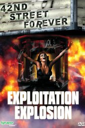 42nd Street Forever, Volume 3: Exploitation Explosion