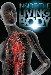 Inside the Living Body