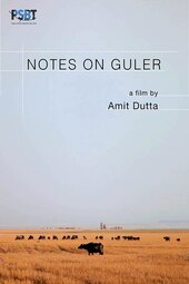 Notes on Guler