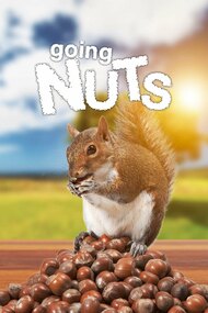 Going Nuts: Tales from the Squirrel World