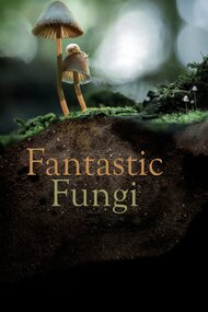 Fantastic Fungi