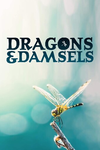 Dragons and Damsels