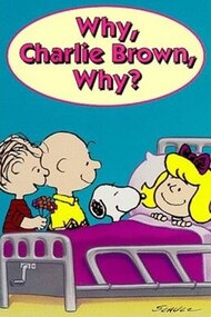 Why, Charlie Brown, Why?