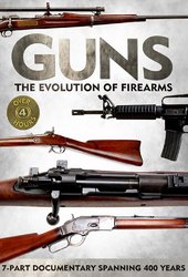 Guns The Evolution of Firearms