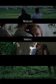 Weight of Spring