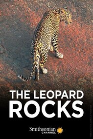 The Leopard Rocks