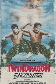 Twin Dragon Encounter