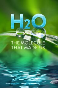 H₂O: The Molecule That Made Us