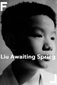 Liu Awaiting Spring