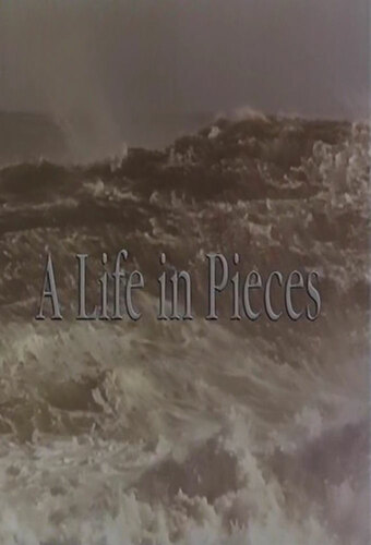 A Life in Pieces