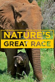 Nature's Great Race