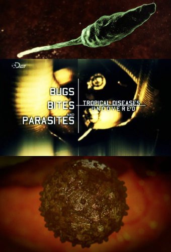 Bugs, Bites And Parasites