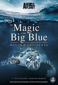 The Magic of the Big Blue