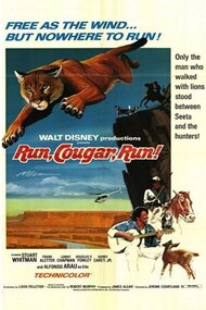 Run, Cougar, Run