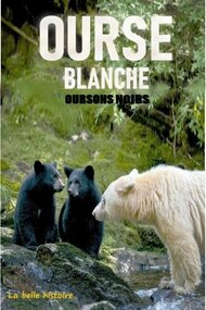 Ourse blanche, oursons noirs : la belle histoire