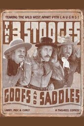 Goofs and Saddles
