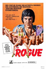 The Rogue