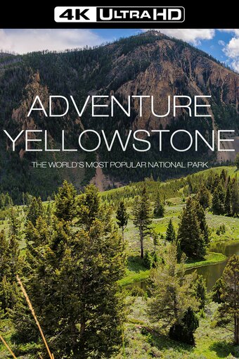 Adventure Yellowstone
