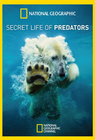 Secret Life of Predators